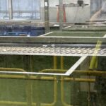 ecomaine Tour 06242024 (18)