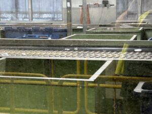 ecomaine Tour 06242024 (18)