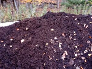 IMG_2025-10-27-13-26-31-458